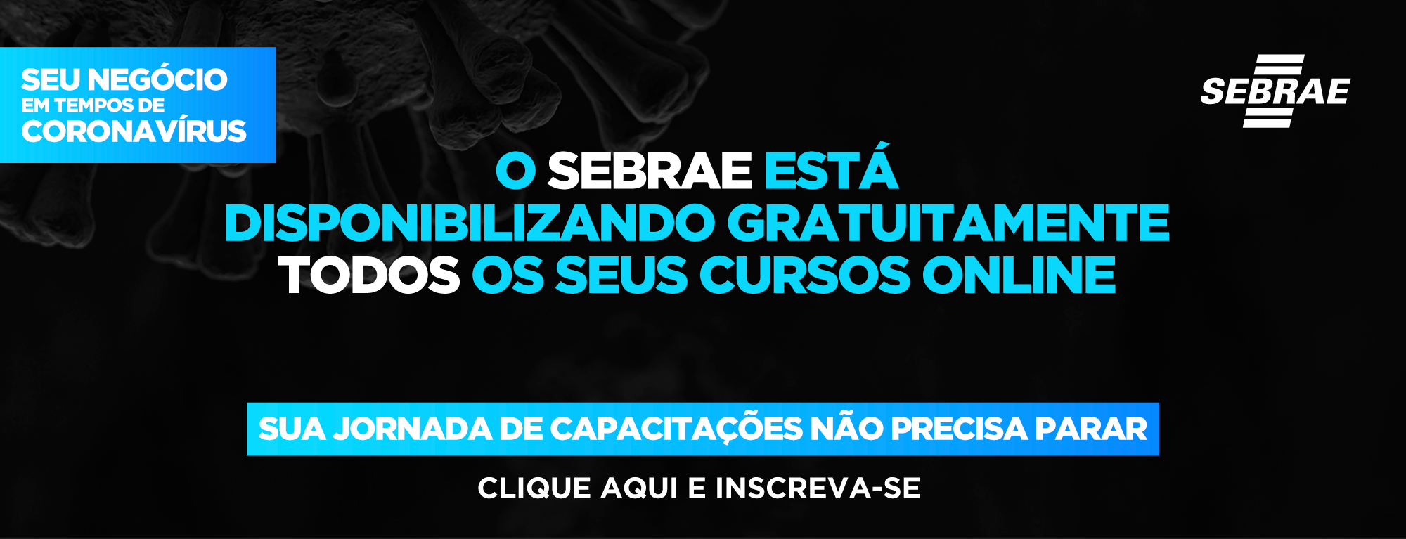 O Sebrae-SP Oferece Mais De Cem Cursos Online Gratuitos - Sebrae